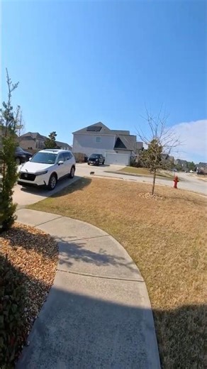 The Neighborhood Sewer Cat’s Morning Patrol 🐾