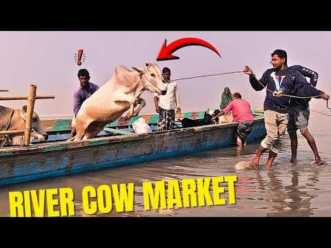 Cows & Goats Arrive by Wooden Boat | River Market Village Life