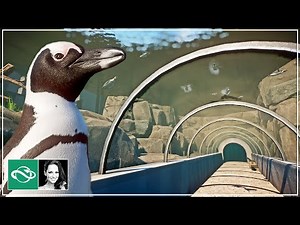 THE LARGEST Underwater Tunnel Ever Built in Planet Zoo