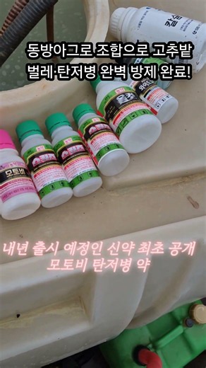 동방아그로 조합으로 고추밭 벌레·탄저병 완벽 방제 완료!