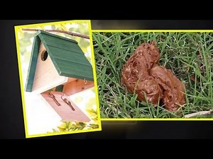 17 Genius Ways to Hide Your Spare Key So No One Will Find It