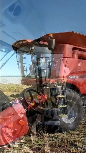 Case IH Tractor Harvest Working in the Field | Powerful Farming Machine Harvesting Crops 🚜🌾