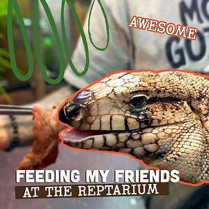 111K views · 1K reactions | It's Feeding Time for my Giant Snakes  | Brian Barczyk | Facebook