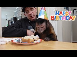 Happy Birthday MonkeyBoo!