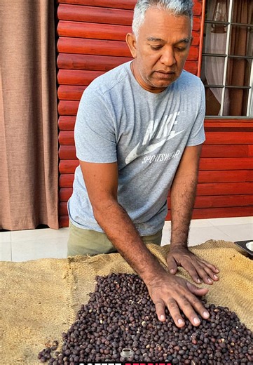 Check out @Gran Couva Eco Resort today to experience this . This was such a wonderful experience. Trinidad has the best Coffee in the world .