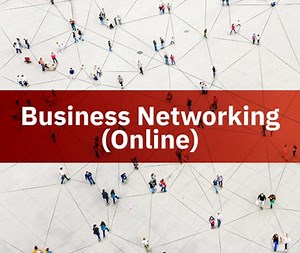 Business Networking (Online)