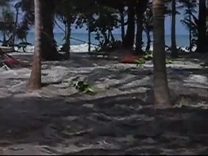 Terrifying footage of tsunami hitting a beach! #nature #tsunami #beach | Animals & Nature
