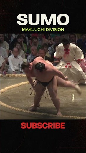 Incredible fight by Aonishiki! #sumotournament #sumo #highlights