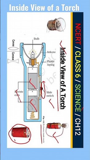 Inside view of a torch | Class 6 science Ch12 | #shorts