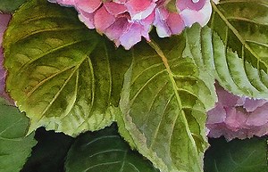 Painting Realistic Leaves and Mixing Greens