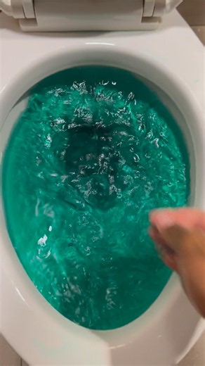 American standard cadet pro toilet siphoning out with dark green water!!!