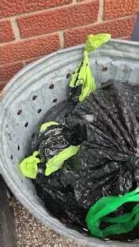 the FINAL installment of "dog poop in bag" gate