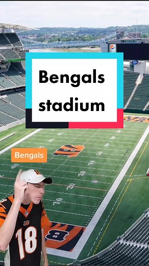 Anunknownbengal342 on TikTok