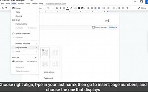 MLA格式Essay写作视频教程