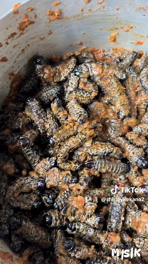 Mopane Worms Recipe: Delicious Cooking Guide