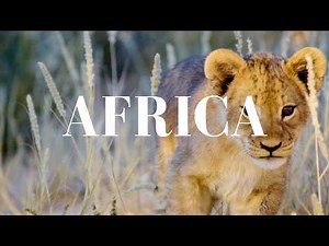 African Animals in 4K - Relaxing Virtual Safari Video Tour of Wild Animals