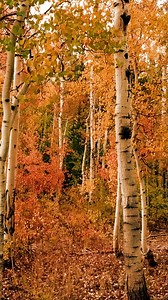 43 reactions · 11 shares | Little Church Mouse presents - 7 Times The Bible Taught The Importance Of Patience And Love ❤ | Little Church Mouse | Facebook