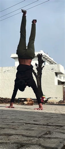 Calisthenics moments ||handstang #subscribe