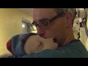 Watch This Sweet Vet Assistant Comfort A Scared Puppy After Surgery - Newsy