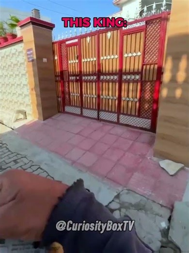 Normal Newspaper Delivery vs King Delivery