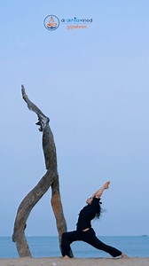 YOGA FLOW At Yogashram we focus on the total body n mind transformation of an individual We specialize in healing GUT issues, PAIN, and STRESS through a holistic approach. Our Specialities : ✅Yoga Therapy ✅Personalized Diet Protocols ✅Acupuncture ✅Cupping Therapy ✅Therapeutic Massage ✅Steam Bath Therapy ✅Online Consultations ✅Lifestyle Modifications ✅Holistic Healing Disclaimer : This video is for education purpose only its should not be used for self diagnose or it is not a substitute for a med