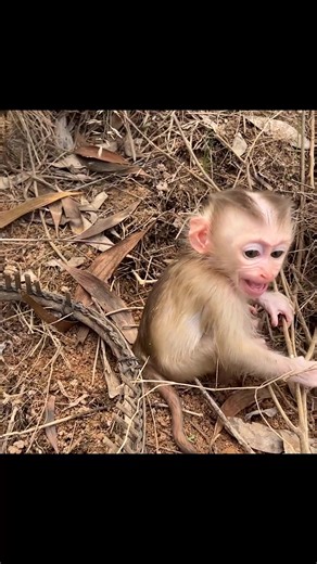 All Best TM2 on Reels