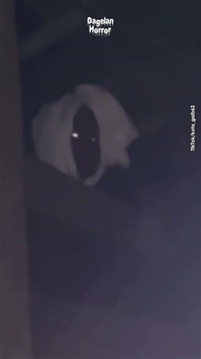 ¿Es esto un FANTASMA o un error de la Matrix? #paranormal #miedo #terror #misterio #Vettolox