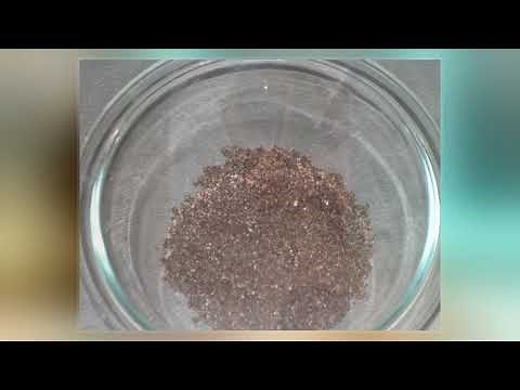 Coffee Ground Vomiting