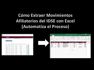 Plantilla para Consultar y Extraer Movimientos (lotes procesados) del IDSE