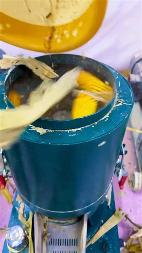 Experience top-tier feed production with our upgraded feed pelletizer machine, designed for steady operation and superior pellet quality. Whatsapp: wa.me/ 8615866689729 #feedpelletmachine #feedpelletmakingmachine #pelletmillforanimalfeed #feedmillforsale #agriculture #machine | Pellet Machine Manufacturer