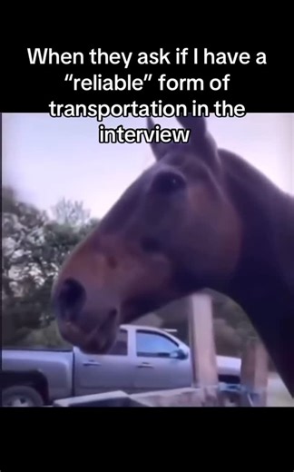 The Loft Performance on Instagram: "“Define reliable” • • Need maintenance done? Need parts bought or installed? Need to build your Subaru in any way? Hit us up through our instagram DM’s or our phone number 📞858-868-5638📞 Or our email ✉️ Theloftperformance@gmail.com ✉️ • #subaru #subaruwrx #subarusti #subaruwagon #wrx #sti #wrxsti #jdm #jdmcars #jdmcar #projectcars #relatable #edits #edit #rally #rallye #rallycar #rallyracing #rallycars #project #projectcar #funnycars #relatablememes #relatab