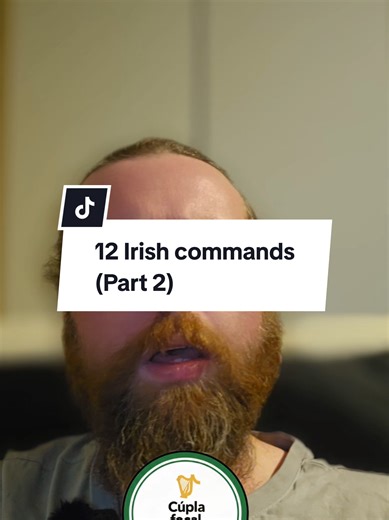 Fun Irish Commands for Kids and Pets: Part Two