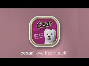 00's Commercials - ABC February 2009 Part 1