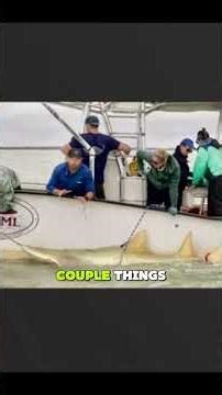 **Forrest Galante Catching 1 of Only 500 Sawfish 🐟😳🌊**