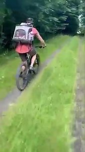 Klementine Charlie on tour Fotos im Kommentar | Bunte Zwergdackel