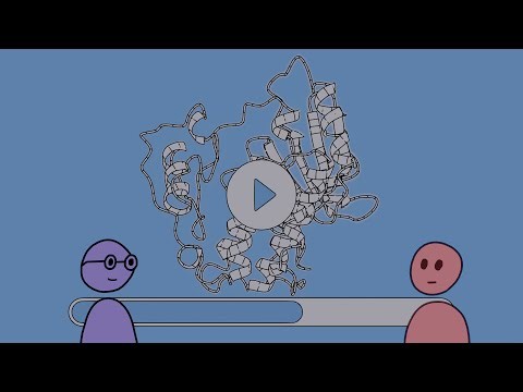 Protein Folding: Breakthrough Junior Challenge