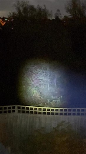 Doing that in public is disgusting… could not believe it #stupidpeople #stupid #public #people #disgusting #humor | Vlog Cast