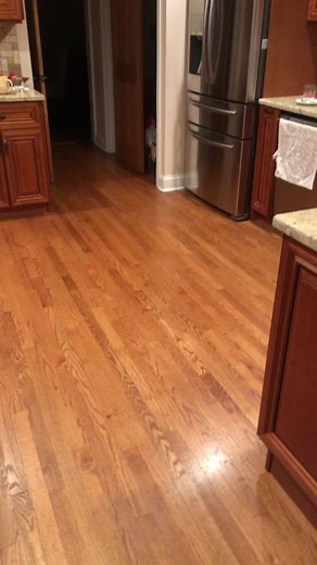 Making this sound literally gave me a fucking migraine #fyp #foryoupage #mightymouse #cartoon #funny #fridge #æ