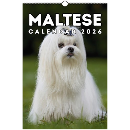 Maltese Wall Calendar 2026, Maltese Dog Lovers & Owners Gift - Etsy New Zealand