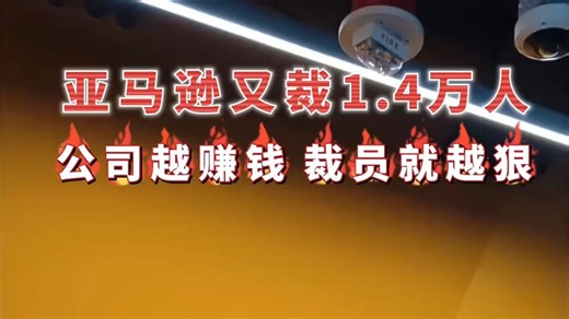 公司越赚钱，你越危险：亚马逊又裁1.4万人#亚马逊裁员 #AI替代白领 #中产危机
