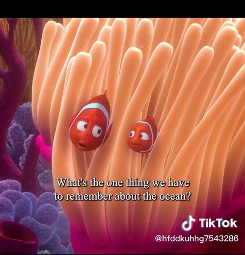 First Day of School Adventures with Finding Nemo