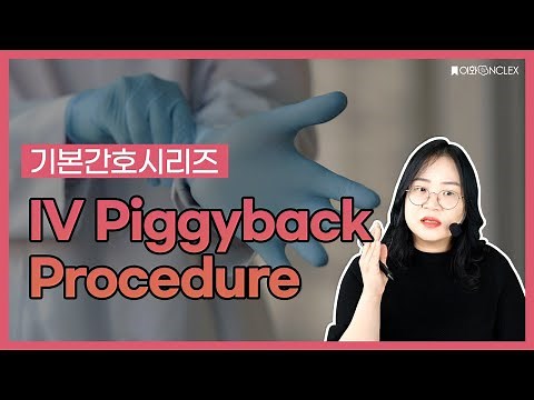 IV Piggyback Procedure💉 | 기본간호시리즈