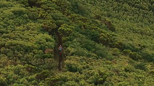 Curated running adventures that create unforgettable journeys, stir the soul, and leave a lasting imprint. We don’t just go places, we run them, breathe them, feel them underfoot. We connect with land, culture, and community. See our 12 bucket-list destinations and envision yourself exploring new cultures, landscapes, and miles beyond the ordinary. ✈️ 🌍 Runseek | Run Routes Less Traveled | Runseek Adventures