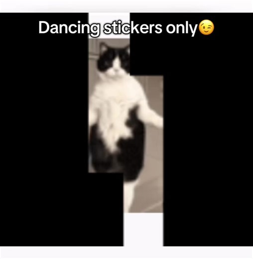 Using Dancing Stickers on TikTok: A Fun Guide