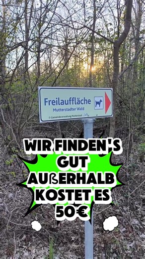 We like it - outside it costs €50 #off-leasharea #dogwalk #dogs