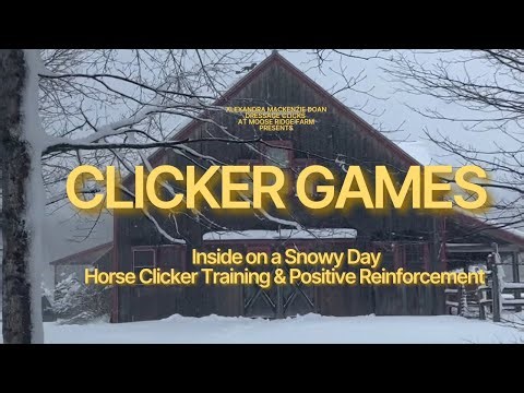 Snow Day Horse Training | Simple Clicker Games You Can Do Inside