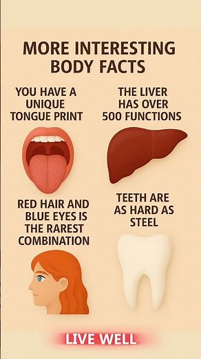 Amazing & Interesting Facts About the Human Body!