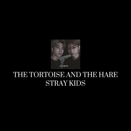 the tortoise and the hare - stray kids (slowed edit audio)