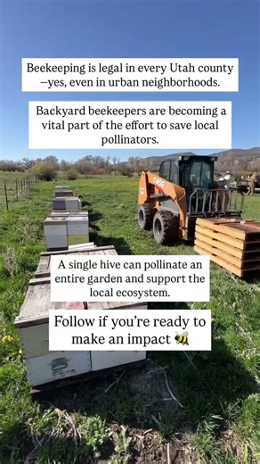 Backyard Beekeeping in Utah: What New Beekeepers Should Know