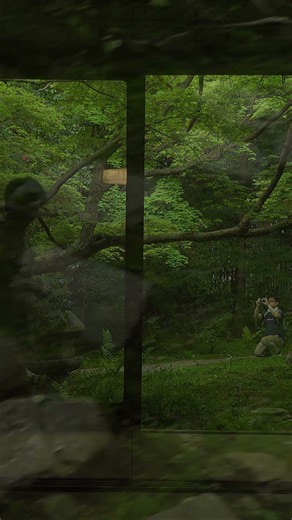 新緑の京都、厭離庵(2017年・手振れ注意) #shorts #kyoto #Japan